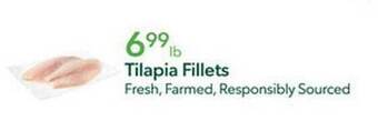 Publix Tilapia fillets offer