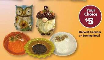 Family Dollar Harvest canister or serving bowl offer