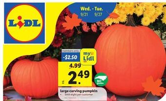 Lidl Large carving pumpkin offer