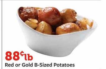 Fareway Red or gold b-sized potatoes offer