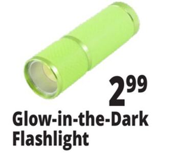 Ocean State Job Lot Glow-in-the-dark flashlight offer
