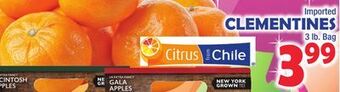 Bravo Supermarkets Clementines offer