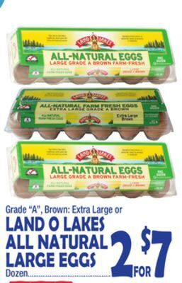 Bravo Supermarkets Land o lakes all natural large eggs offer