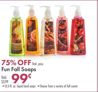 Boscov's Fun fall soaps offer