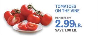 Kings Food Markets Tomatoes on the vine offer