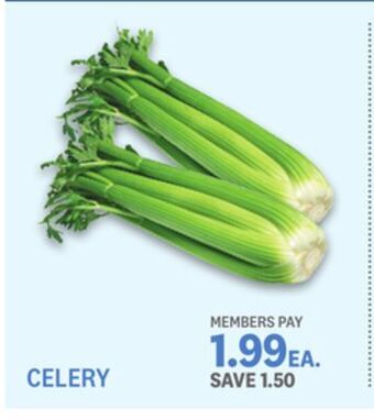 Kings Food Markets Celery offer