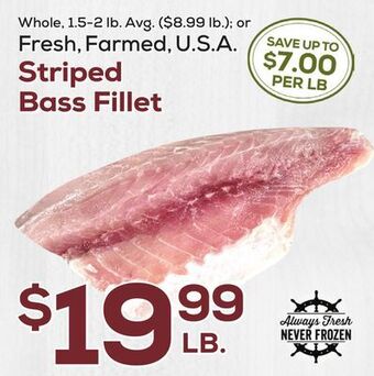 DeCicco & Sons Striped bass fillet offer