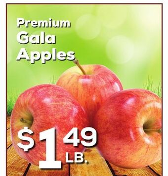 DeCicco & Sons Premium gala apples offer