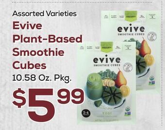 DeCicco & Sons Evive plant-based smoothie cubes offer