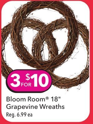 JOANN Bloom room® 18" grapevine wreaths offer