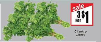 Rancho Markets Cilantro offer