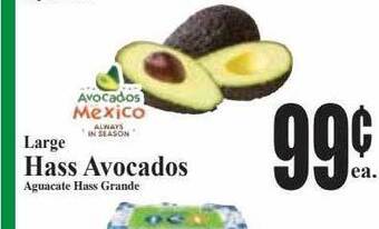 Baja Ranch Large hass avocados offer