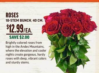 Central Market Roses 18-stem bunch 40 cm offer