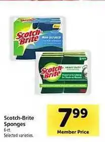 Scotch-brite sponges selected varieties