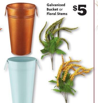 Family Dollar Galvanized bucket or floral stems offer
