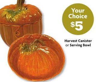 Family Dollar Harvest canister or serving bowl offer