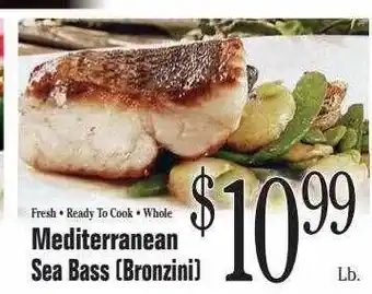 Mediteranean sea bass bronzini