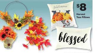 Family Dollar Harvest toss pillows offer