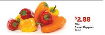 Fareway Mini sweet peppers offer