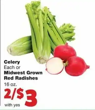 Family Fare Celery 16 oz offer