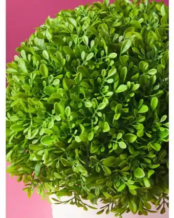 Home Goods 14in potted artificial boxwood offer