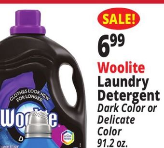 Ocean State Job Lot Woolite laundry detergent offer