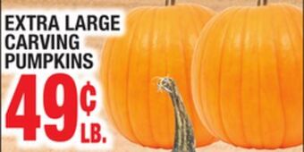 C Town Extra large carving pumpkins offer