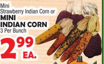 Bravo Supermarkets Mini indian corn offer