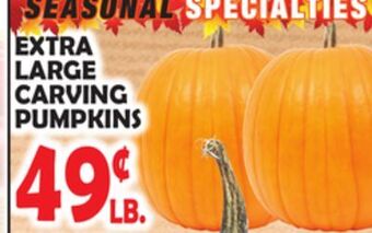 Bravo Supermarkets Extra large carving pumpkins offer