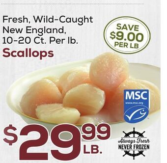 DeCicco & Sons Scallops offer