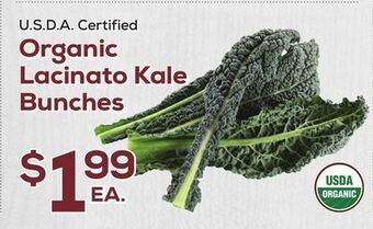 DeCicco & Sons Lacinato kale bunches offer