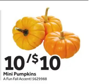 Stop&Shop Mini pumpkins offer