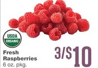 Forest Hills Food Usda organic fresh raspberries offer
