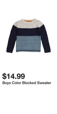 TJ Maxx Boys color blocked sweater offer
