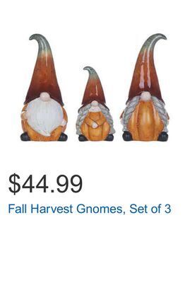 Costco Fall harvest gnomes, set of 3 offer
