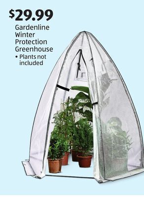 Aldi Gardenline winter protection greenhouse offer