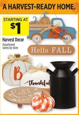 Dollar General Harvest decor offer