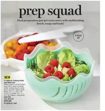 Avon Lettuce cutting knife and bowl set offer
