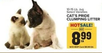 Food Lion Cat's Pride Clumping Litter offer