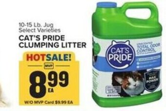 Food Lion Cat's Pride Clumping Litter offer