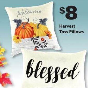Family Dollar Harvest toss pillows offer