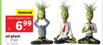 Lidl Air plant offer
