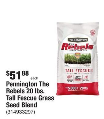 The Home Depot Pennington the rebels 20 lbs. tall fescue grass seed blend offer