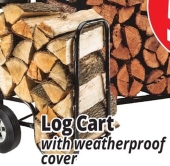 Ocean State Job Lot Log cart offer