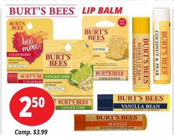 Ocean State Job Lot Burt's bees lip balm offer