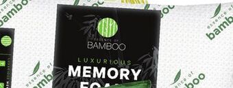 Ocean State Job Lot Essence of bamboo memory foam bed pillow offer