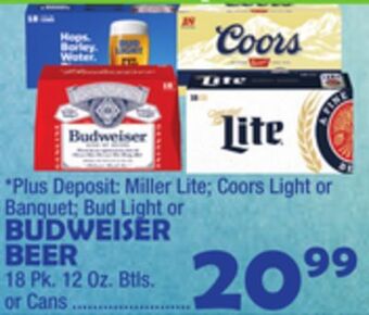 Bravo Supermarkets Budweiser beer offer
