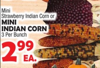 Bravo Supermarkets Mini indian corn offer