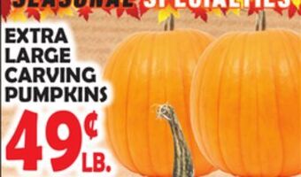 Bravo Supermarkets Extra large carving pumpkins offer