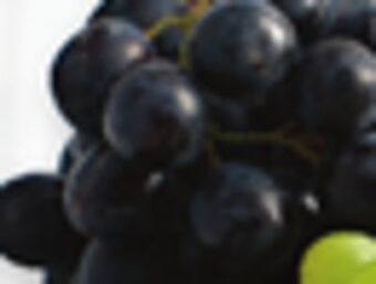 The Fresh Grocer Black seedless grapes offer